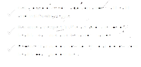 1guidebook1a-bullets
