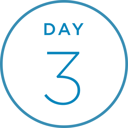 Day 3@3x