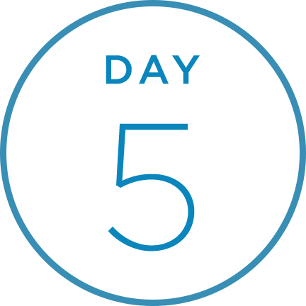 Day 5@3x