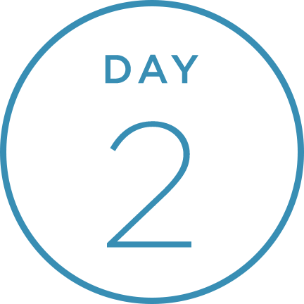 Day-2@3x