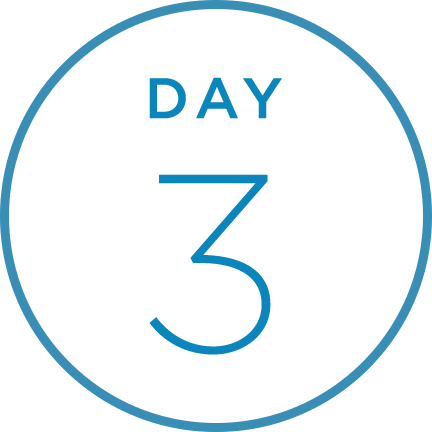 Day-3@3x