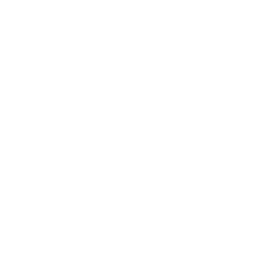 advanced-icon@3x-300x300