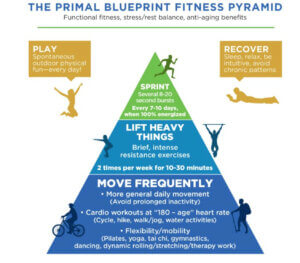 The Primal Blueprint Fitness Pyramid 