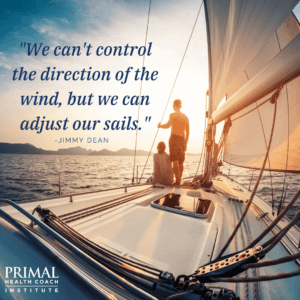 "We can't control the direction of the wind, but we can adjust our sails." - Jimmy Dean
