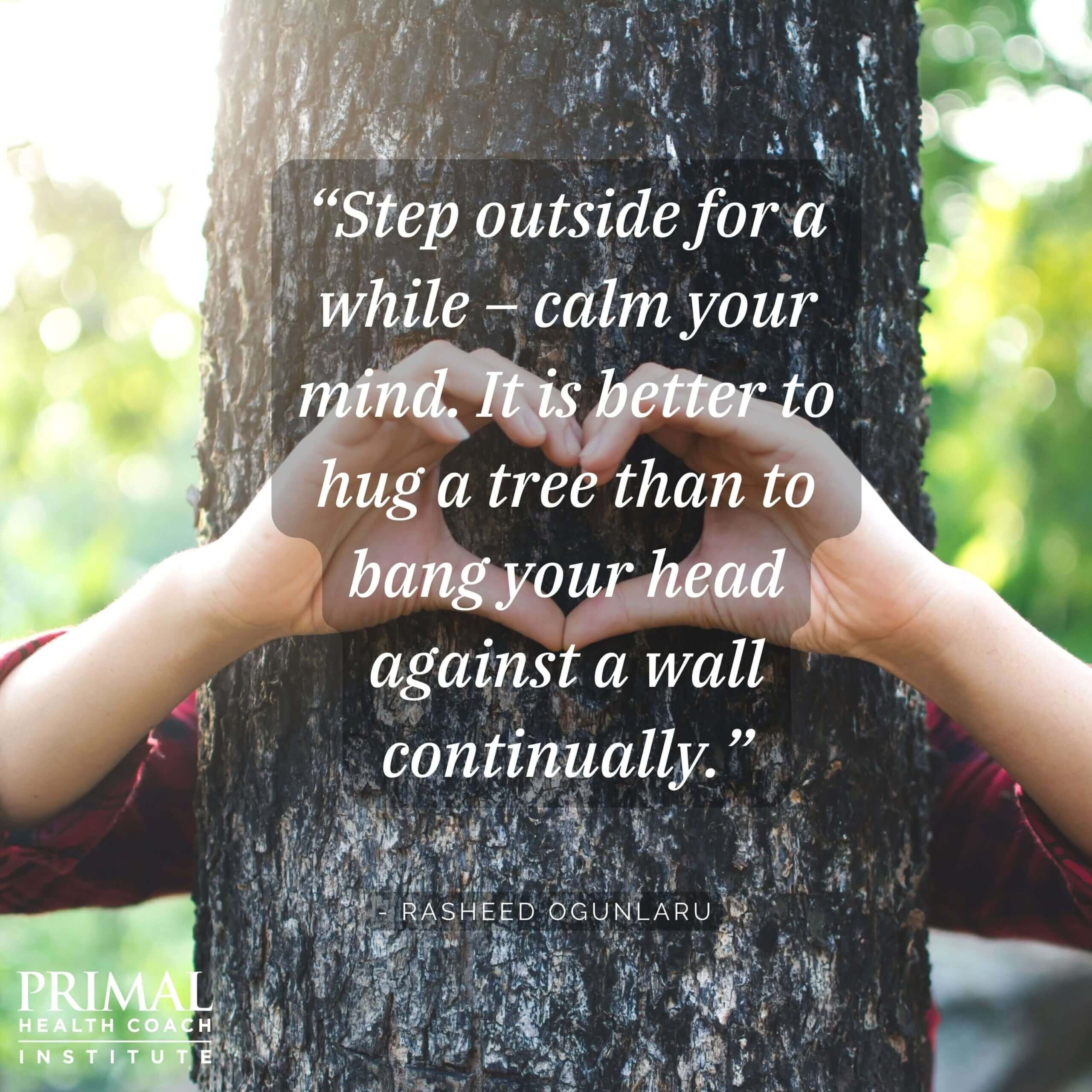 “Step outside for a while – calm your mind. It is better to hug a tree than to bang your head against a wall continually.” - Rasheed Ogunlaru