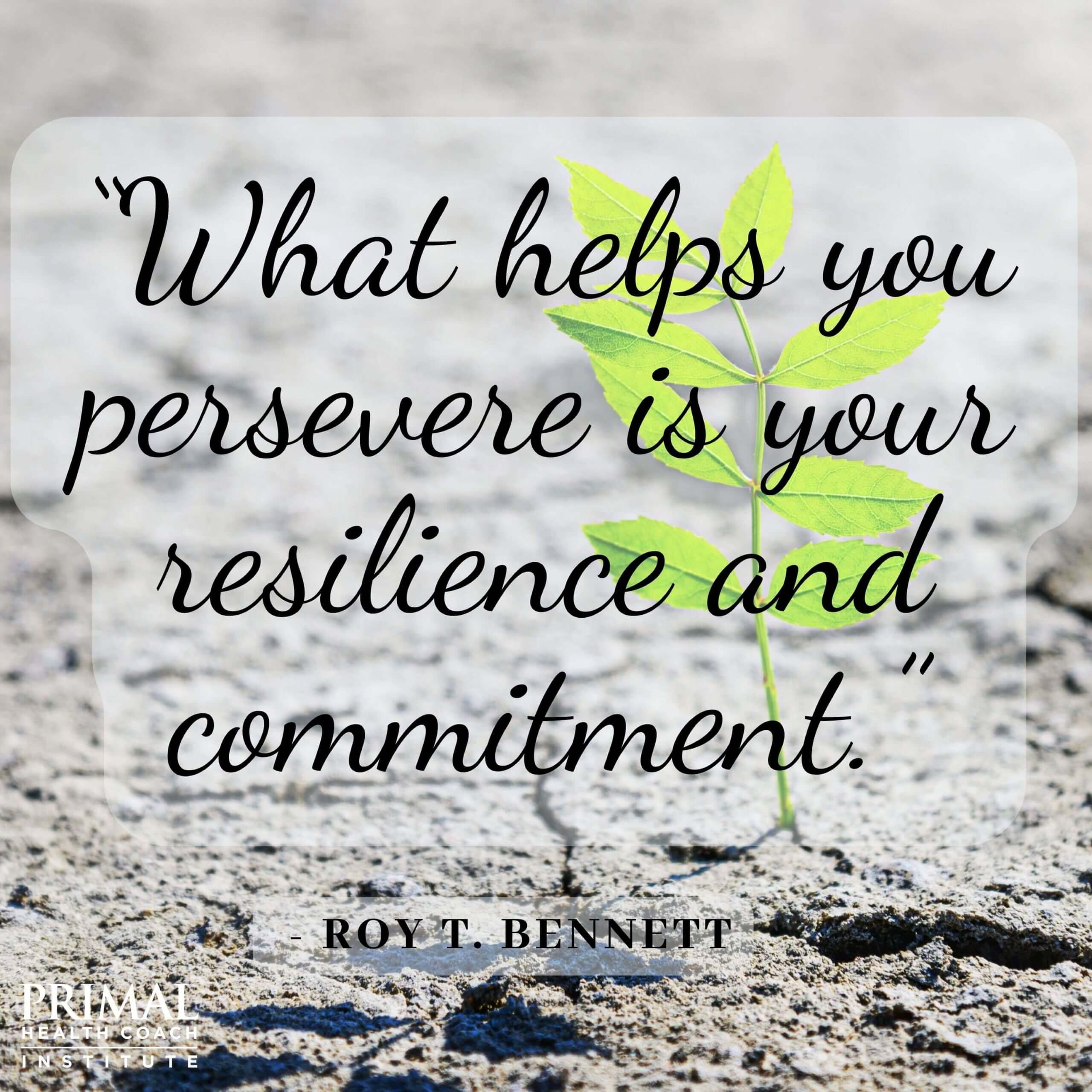 “What helps you persevere is your resilience and commitment.”  