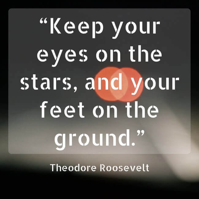 “Keep your eyes on the stars, and your feet on the ground.” - Theodore Roosevelt