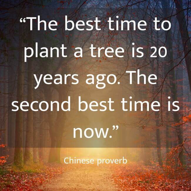 “The best time to plant a tree is 20 years ago. The second best time is now.” - Chinese proverb